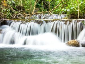 een waterval in een jungle met bomen op de achtergrond bij Cabañas Camino Mágico in San Miguel del Puerto