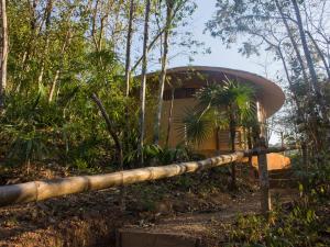 Een bus staat geparkeerd in het bos naast een hek. bij Cabañas Camino Mágico in San Miguel del Puerto