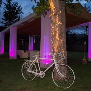 una bicicleta estacionada junto a un árbol con luces en Club Hotel Centro de Convenciones Cusco en Cuzco