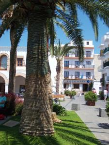 una palmera frente a un edificio en Hostal Rey en Santa Eulalia del Río