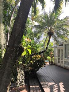 a house with a wooden deck with palm trees at Douglas House Adult Only in Key West