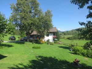 a house in the middle of a field with a tree at Ferienhaus Sonnhügel - Stissen in Faak am See