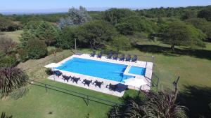 an overhead view of a swimming pool with horses by it at El Portillo in Villa General Belgrano