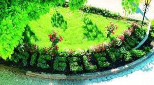 a cake shaped like a island with flowers and trees at Hotel Riegeler Hof in Riegel am Kaiserstuhl +60 photos
