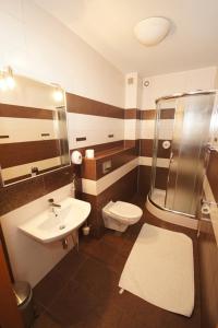 レンボルクにあるHotel Vegaのバスルーム(トイレ、洗面台、シャワー付)