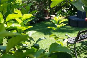 Ein Garten an der Unterkunft Hotel Villamare