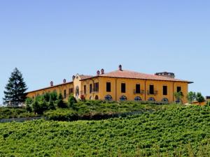ニッツァ・モンフェッラートにあるFabulous Mansion in Nizza Monferrato with Swimming Poolのブドウ畑の丘の上のオレンジ色の建物