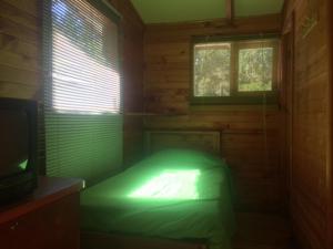 Cama verde en habitación con TV en Turismo Montaña II, en La Ensenada