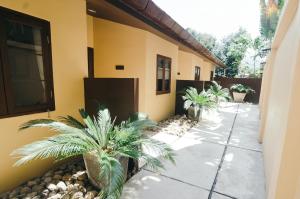 a house with some palm trees in front of it at Lilu Pai in Pai