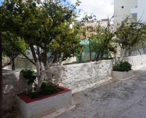 a stone wall with three trees in pots at Artemis House in Karpathos Town
