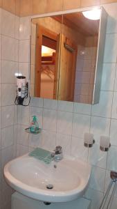 a bathroom with a sink and a mirror at Haus Johanna in Radstadt