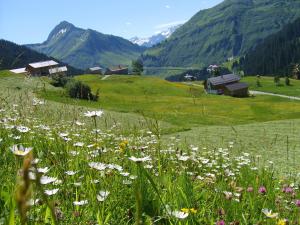 a field of flowers in a green field with mountains at Ländle Hotel in Damuls