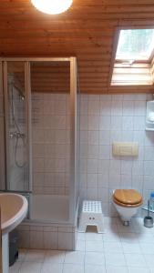 a bathroom with a shower and a toilet and a sink at Haus Johanna in Radstadt