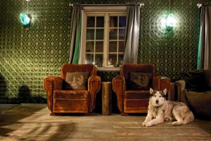 a dog is sitting in a room with chairs at Herangtunet Boutique Hotel in Heggenes