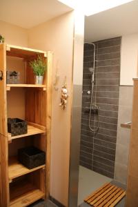 a bathroom with a shower with a glass door at Gite Le chataignier in Luttenbach-près-Munster