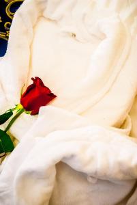 a red rose sitting on top of a white flower at Hotel Centrale in Trieste