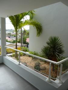 Balkón nebo terasa v ubytování Official page "Residence Bleu Marine" - Sea View Apartments & Studios - Saint-Martin French Side