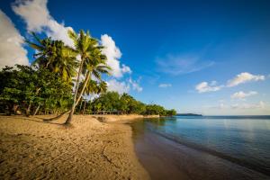 
a sandy beach with palm trees and palm trees at East Winds St. Lucia- All Inclusive in Gros Islet
