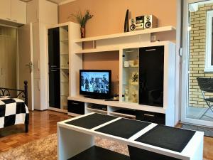 a living room with a tv in a entertainment center at Apartment Wali in Soko Banja