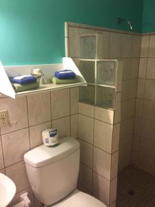 a bathroom with a white toilet and a sink at Palmetto Guesthouse in Culebra