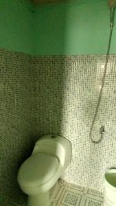 a bathroom with a toilet and a green wall at Crystall Guesthouse in Banda Aceh