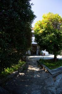 Vonkajšia záhrada v ubytovaní Nightingale Cottage Pelion