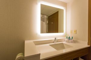 Un baño de Holiday Inn Express Hotel & Suites Reading, an IHG Hotel