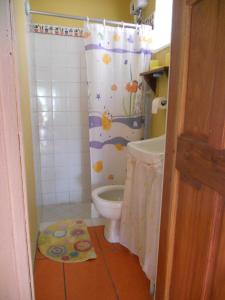 a bathroom with a toilet and a shower curtain at Drapers San Guest House in Port Antonio