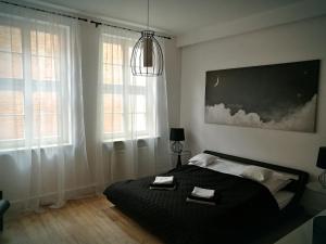a bedroom with a black bed and two windows at Black&White Apartment- Wierzbowa 5 in Poznań