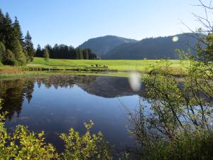 a view of a pond with horses in a field at Haus Baumgartner in Schattwald