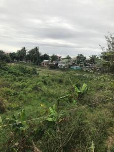 a field of grass with houses in the background at Sophia Homestay Hoi An in Hoi An