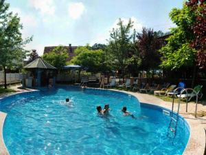 a group of people swimming in a swimming pool at B&B Vila Raj in Vrnjačka Banja