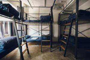a group of bunk beds in a room at CITAN Hostel in Tokyo