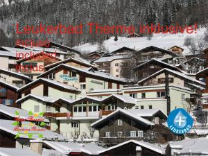 Hotel Paradis-Leukerbad-Therme iarna