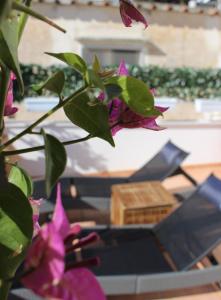 Гостиная зона в Villa Pollio Guest House