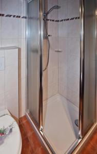 e bagno con servizi igienici e cabina doccia. di Gästehaus Sylvia a Biberwier Altre 10 foto