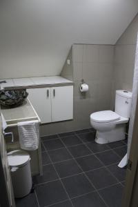 a small bathroom with a toilet and a sink at Magenta Cottage in Tumbarumba