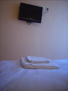 TV a/nebo společenská místnost v ubytování B&B Vila Raj