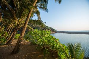 ColaにあるBlue Lagoon Resort Goaのヤシの木と海の景色を望む