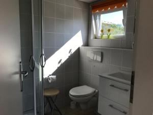 a bathroom with a toilet and a sink and a window at Zum Nordstrand in Prerow