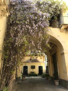 een boog met paarse bloemen op een gebouw bij Soffitta29 in Catania
