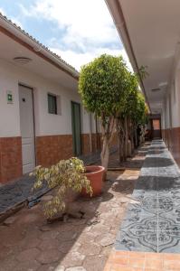 Fotografie z fotogalerie ubytování Hotel Altos de Atacama v destinaci Copiapó
