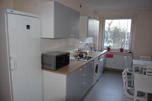 Kuchyňa alebo kuchynka v ubytovaní Botanik Hostel
