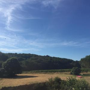 Paesaggio naturale nelle vicinanze dell'affittacamere