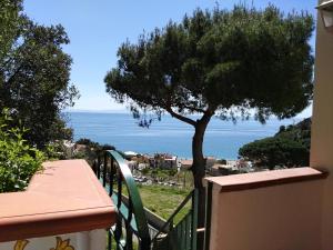 a balcony with a tree and a view of the ocean at Casa Vacanze Bouganvillea in Cetara