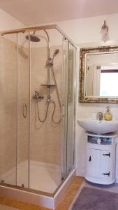 La salle de bains est pourvue d'une douche et d'un lavabo. dans l'établissement Apartment Tina Istra, à Buje