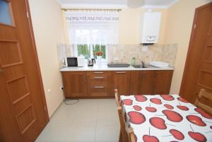 Kuchyňa alebo kuchynka v ubytovaní Mazuria Apartamenty