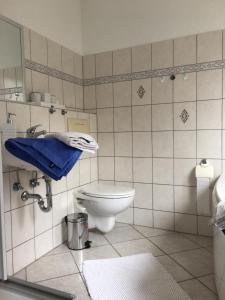 a bathroom with a toilet and a blue towel at Ferienwohnung in Domnähe in Erfurt