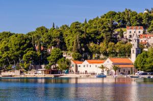 a town on the shore of a body of water at Apartments Oliva in Cavtat