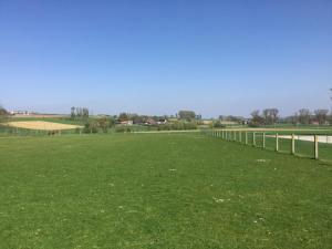 een groot grasveld met een hek bij B&B 22 in Elsegem